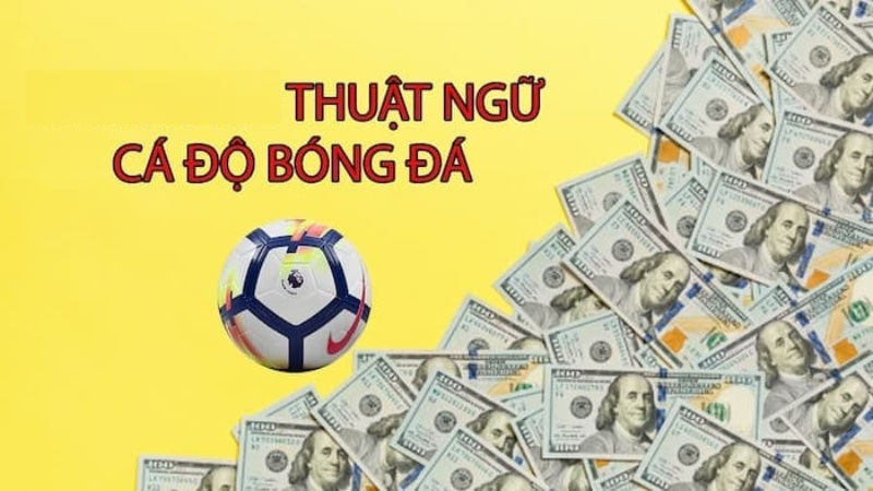 Thuật Ngữ Cá Độ