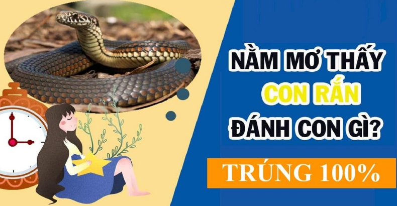 Mơ thấy rắn đánh con gì luôn đảm bảo nhận thưởng khủng?